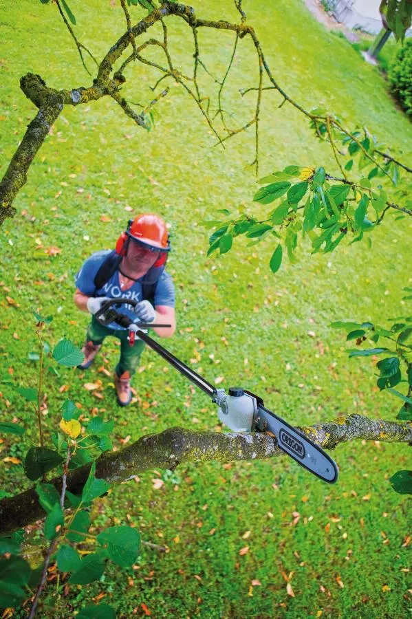 Outil Multi Fonctions 4en1 52cm³ à Dos MFH5300-4BP SCHEPPACH - 5904805904 4 Outil Multi Fonctions 4en1 52cm³ à Dos MFH5300-4BP SCHEPPACH - 5904805904 – Image 2